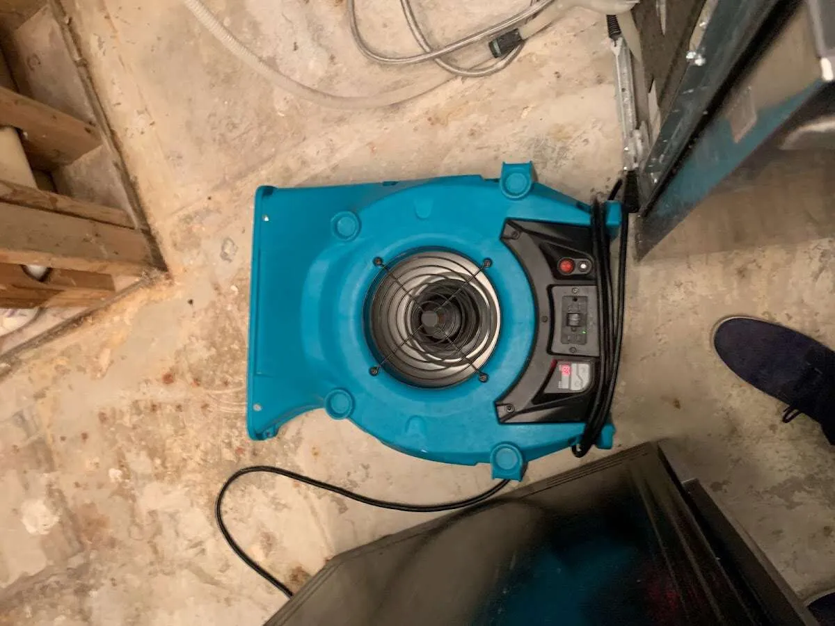 Air mover drying equipment for Mold Remediation & Removal in Passaic